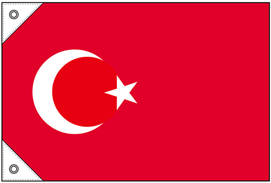 画像1: 世界の国旗 (販促用)  トルコ　(ミニ・小・大)