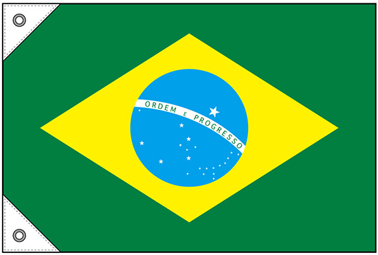 画像1: 世界の国旗 (販促用)  ブラジル　(ミニ・小・大)