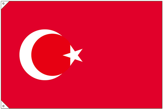 画像3: 世界の国旗 (販促用)  トルコ　(ミニ・小・大)